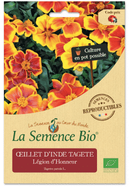 Graines Œillet d'Inde bio - La semence bio