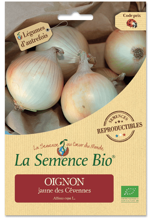 Graines Oignon jaune des Cévennes Bio – La semence bio 1