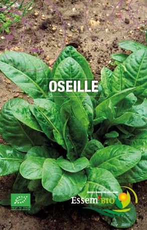 Graines Oseille bio – Essembio