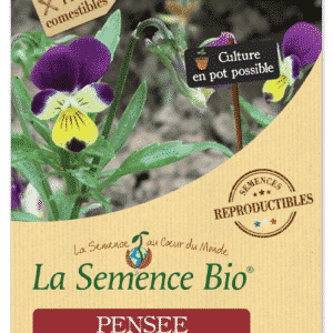 Graines Pensée sauvage bio - La semence bio