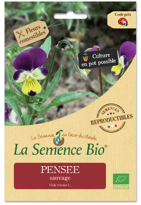 Graines Pensée sauvage bio – La semence bio