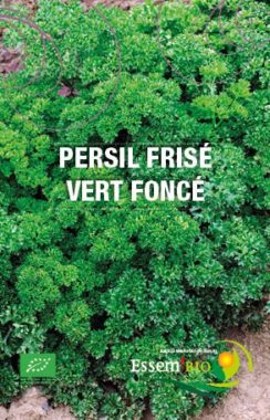 Graines Persil frisé vert foncé bio - Essembio