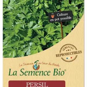 Graines Persil géant d'Italie bio - La semence bio 1