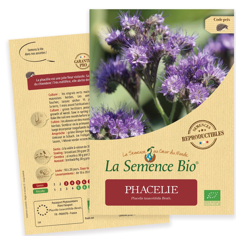 Graines Phacélie bio – La semence bio 1