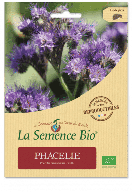 Graines Phacélie bio - La semence bio