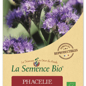 Graines Phacélie bio - La semence bio