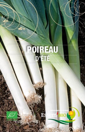 Graines Poireau d’été bio – Essembio