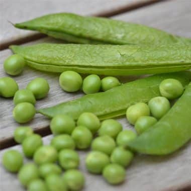 Graines Pois nain à écosser Merveille de Kelvedon bio - Ferme de Sainte Marthe