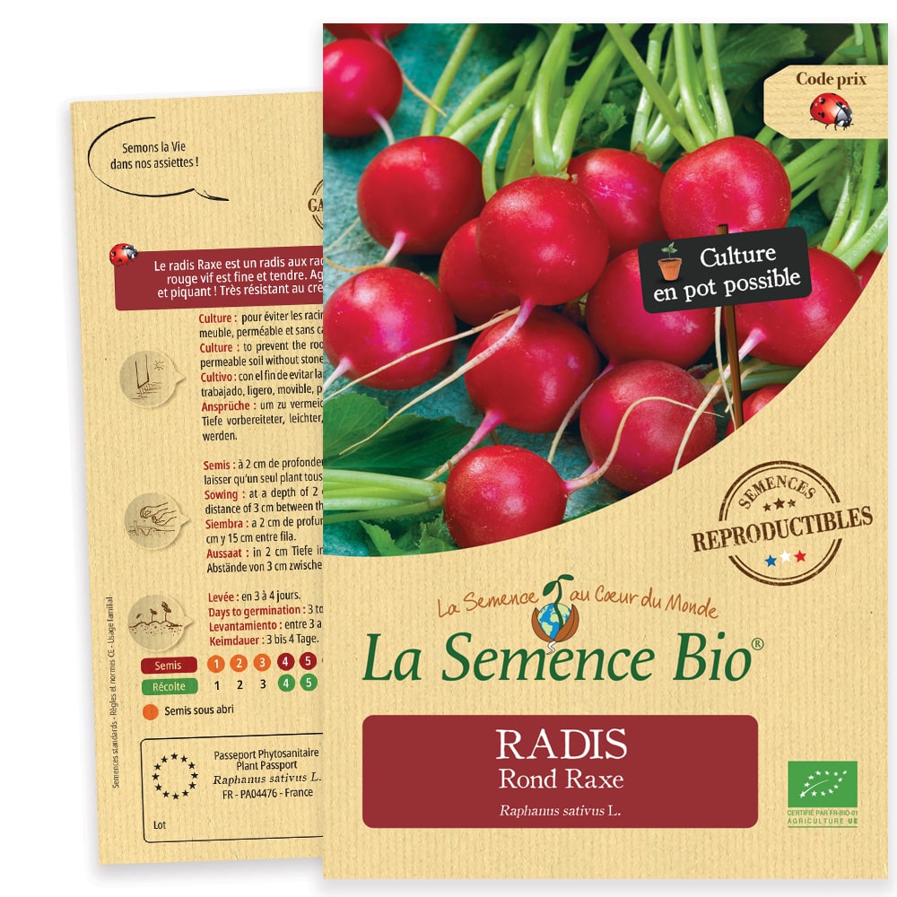 Graines Radis Rond Raxe Bio – La semence bio 1