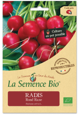 Graines Radis Rond Raxe Bio - La semence bio