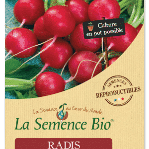 Graines Radis Rond Raxe Bio - La semence bio