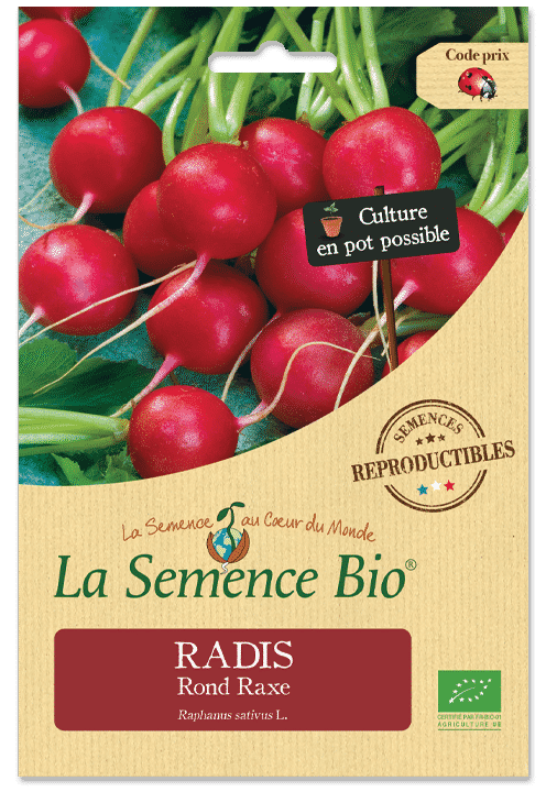 Graines Radis Rond Raxe Bio – La semence bio