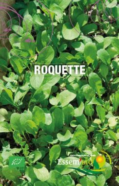 Graines Roquette cultivée bio - Essembio