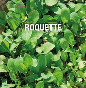 Graines Roquette cultivée bio - Essembio