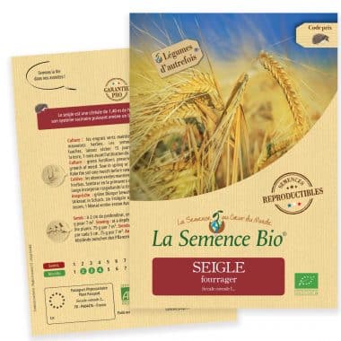 Graines Seigle fourrager bio - La semence bio 1