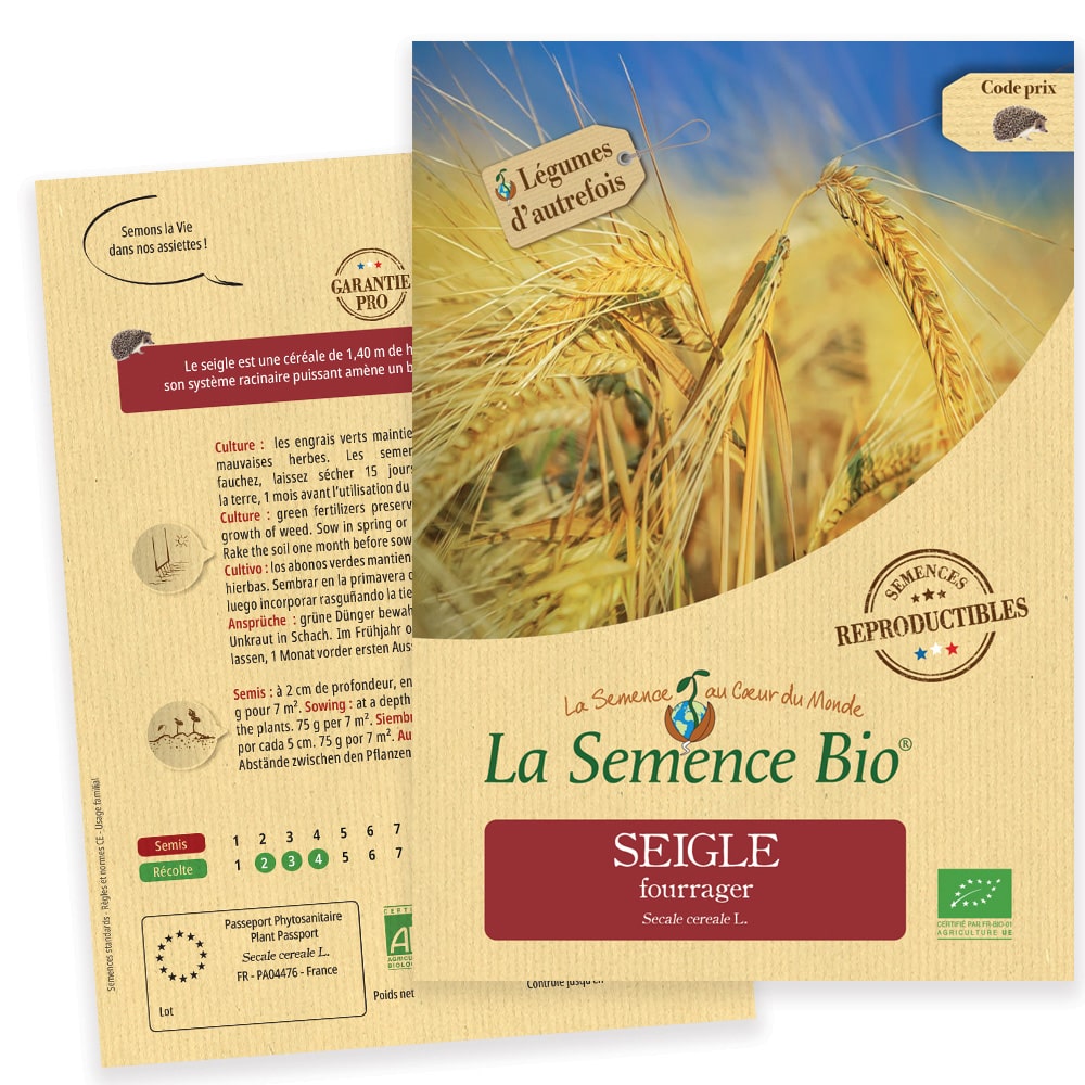 Graines Seigle fourrager bio – La semence bio 1