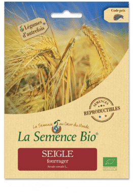 Graines Seigle fourrager bio - La semence bio