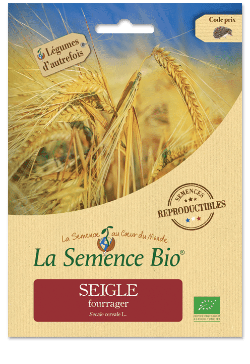 Graines Seigle fourrager bio – La semence bio