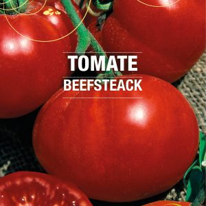 Graines Tomate Beefsteack bio - Essembio