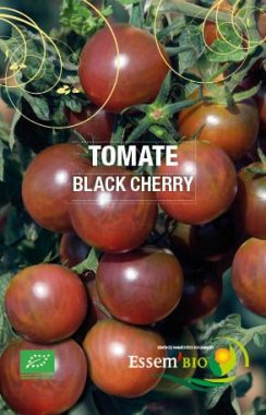 Graines Tomate cerise Black Cherry bio - Essembio