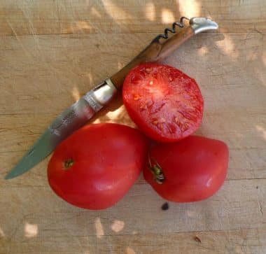 Graines Tomate cœur de bœuf Sweet Heart à petits fruits bio - Graines del pais 1