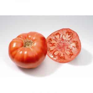 Graines Tomate Marmande bio - Les Semailles