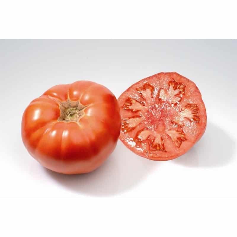 Graines Tomate Marmande bio – Les Semailles