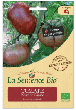 Graines Tomate Noire de Crimée Bio - La semence bio 1