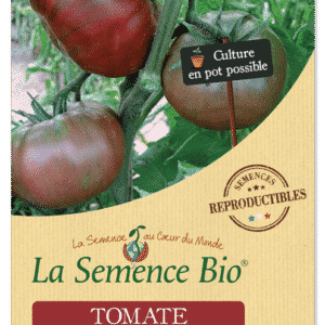 Graines Tomate Noire de Crimée Bio - La semence bio 1