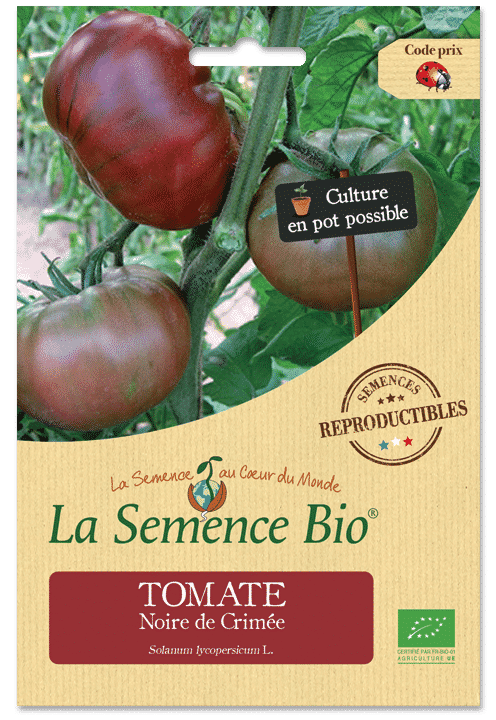 Graines Tomate Noire de Crimée Bio – La semence bio 1