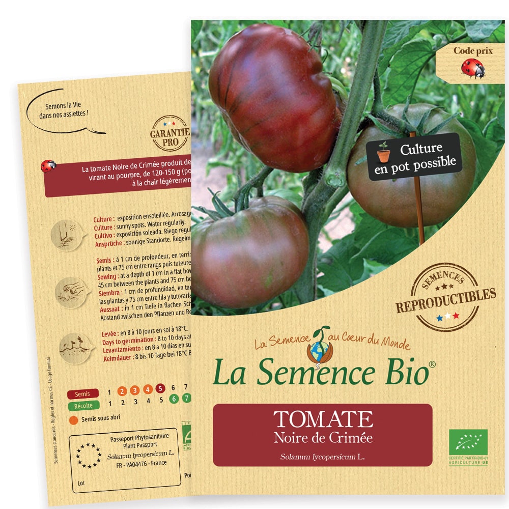Graines Tomate Noire de Crimée Bio – La semence bio