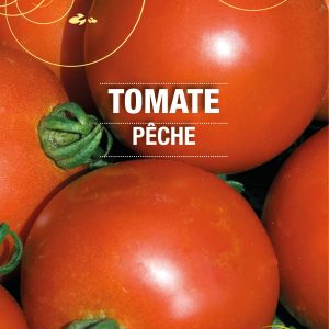 Graines Tomate pêche bio - Essembio
