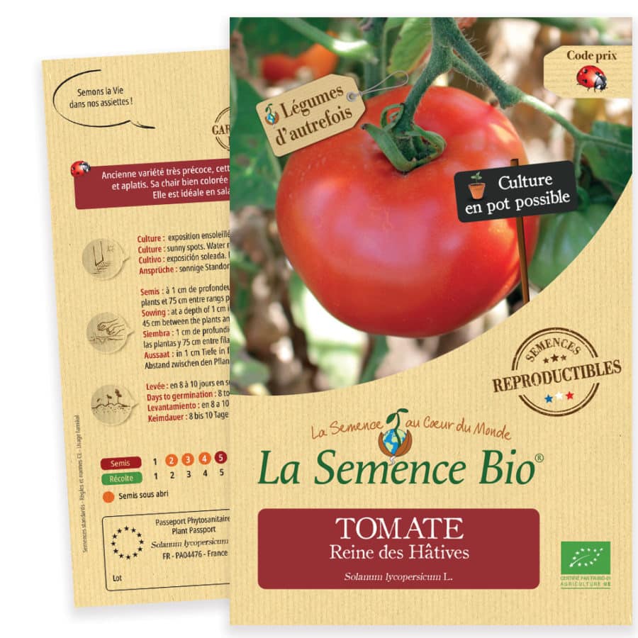 TOMATE Reine des Hâtives - Sachet de graines bio des semis du potager