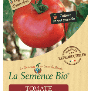 Graines Tomate Reine des Hâtives Bio - La semence bio