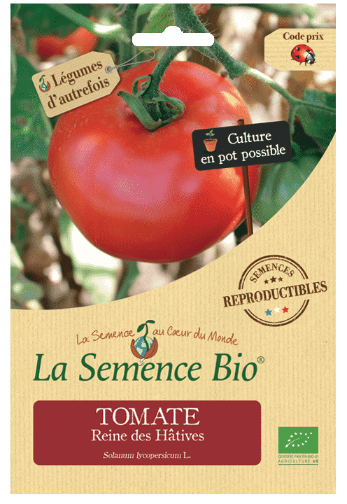 Graines Tomate Reine des Hâtives Bio – La semence bio