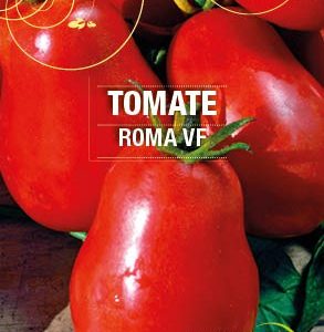 Graines Tomate Roma bio - Essembio