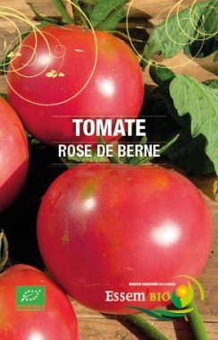 Graines Tomate rose de Berne bio - Essembio