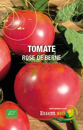 Graines Tomate rose de Berne bio – Essembio
