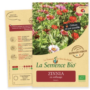 Graines Zinnia bio - La semence bio 1