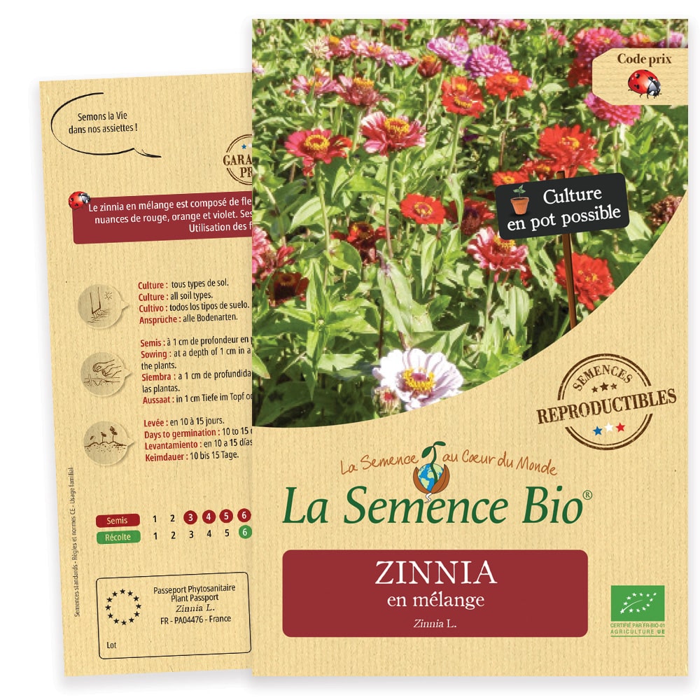 Graines Zinnia bio – La semence bio 1