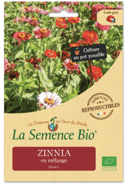 Graines Zinnia bio - La semence bio