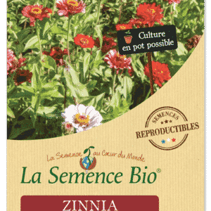 Graines Zinnia bio - La semence bio