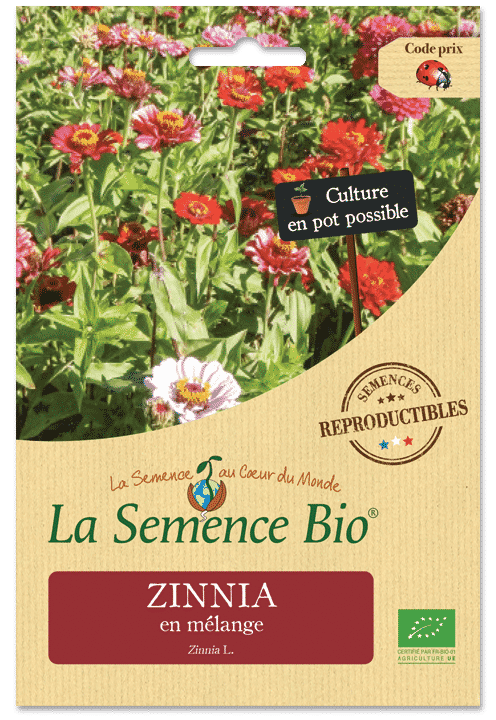 Graines Zinnia bio – La semence bio