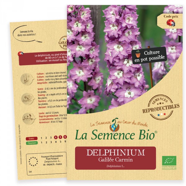 semences-bio-reproductibles-delphinium-galilee-carmin-bio
