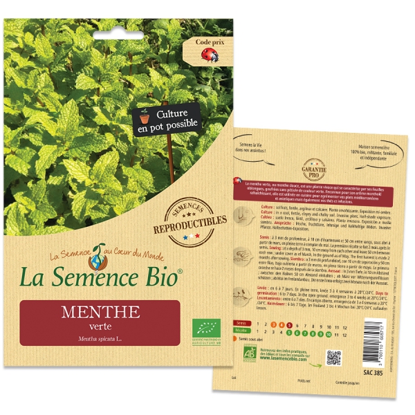 semences-bio-reproductibles-menthe-verte-bio