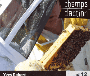 Champs d'action : Yves Robert, protéger les abeilles 1