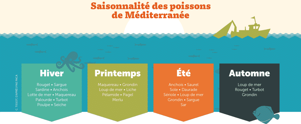 Local et de saison, mon poisson ! | 4 saisons n°244 5