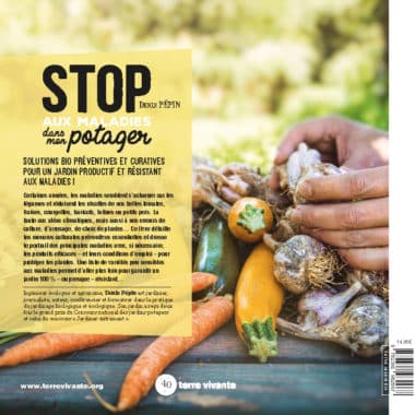 Stop aux maladies dans mon potager 1