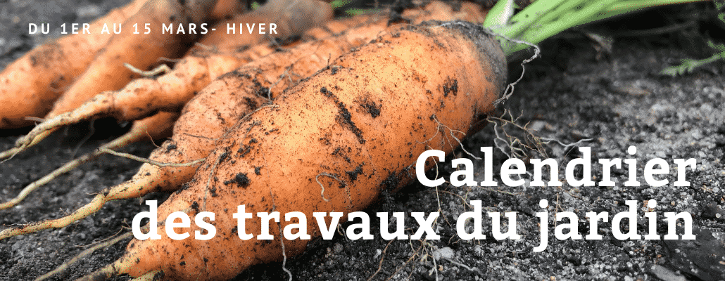 Calendrier des travaux du jardin du 1er au 15 mars