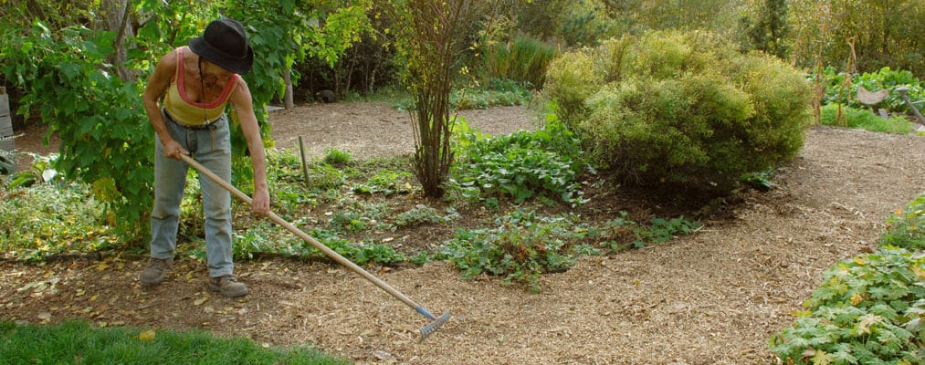 Expérimentation BFR: jardiniers, raccrochez-vous aux branches ! 1